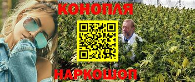 a pvp Пенза